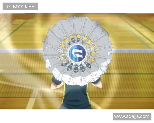 武汉羽毛球队的节奏解析与未来展望探讨